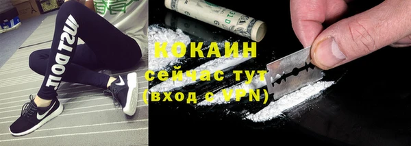 первитин Богданович