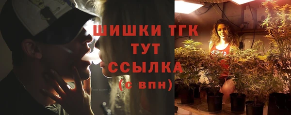 первитин Богданович