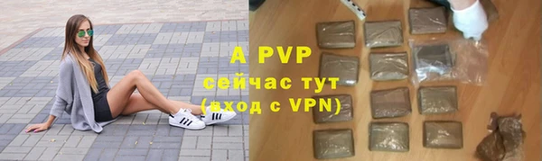 крисы Богородицк