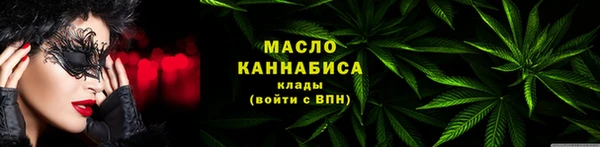крисы Богородицк