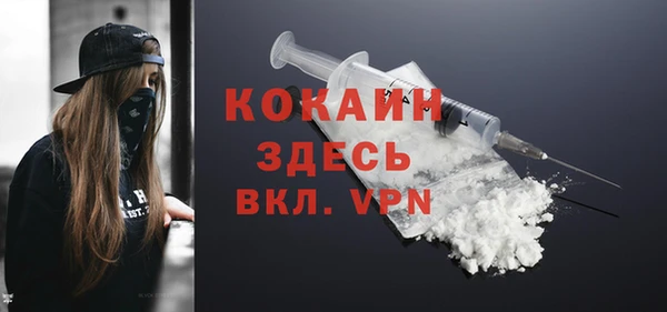 крисы Богородицк