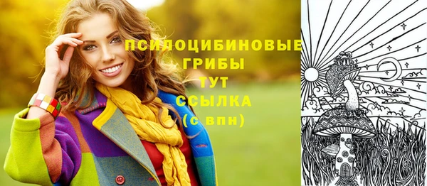 первитин Богданович