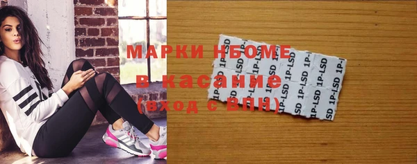 крисы Богородицк